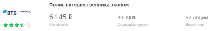 страховка в Индию на полгода