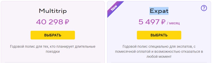 страховка в Грузию на год